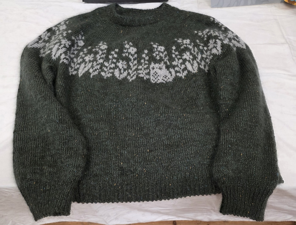 Jumper by Daryl - can you spot the cat
